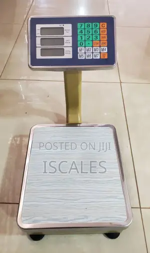 Digital Weighing Scale 60kg Weigh Dual Display Digital Weighing Scale