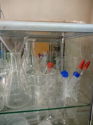 Conical Flasks