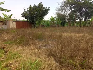 5bdrm Block of Flats in Wakiso / Wakiso for sale