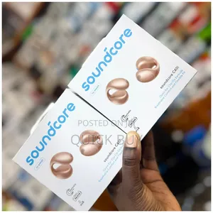 Soundcore C40i Earbuds