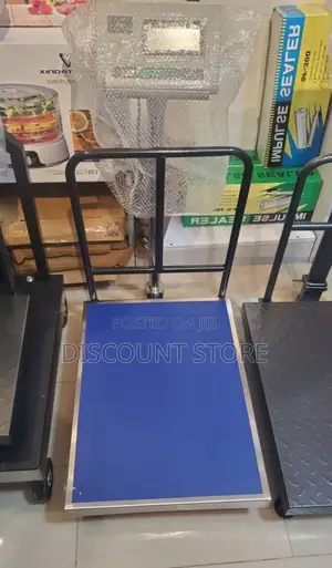 Pricing Weighing Scale 300kg Weigh Dual Display Digital Weighing Scale
