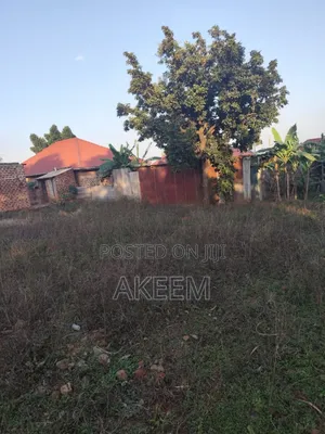Quick Cash Needed for This Piece of Land