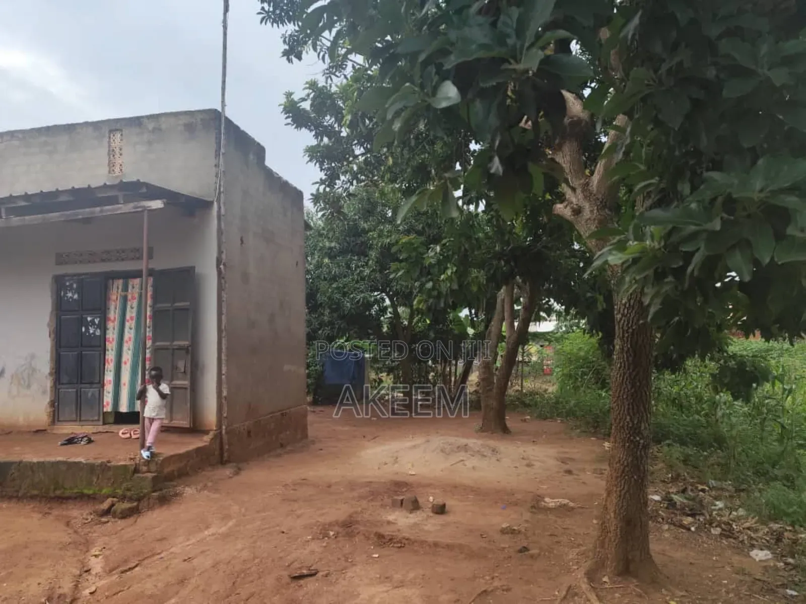Quick Cash Needed for This Piece of Land