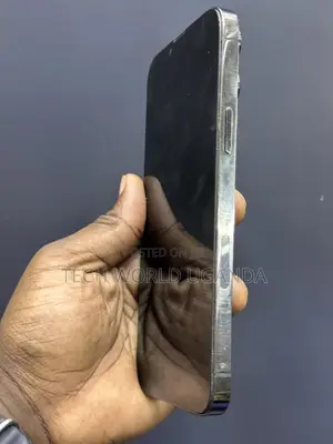 Apple iPhone 13 Pro Max 256 GB Black