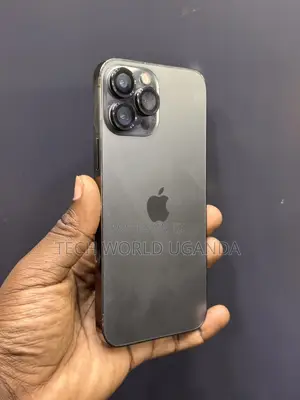 Apple iPhone 13 Pro Max 256 GB Black