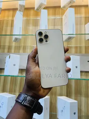 Apple iPhone 12 Pro Max 128 GB Rose Gold