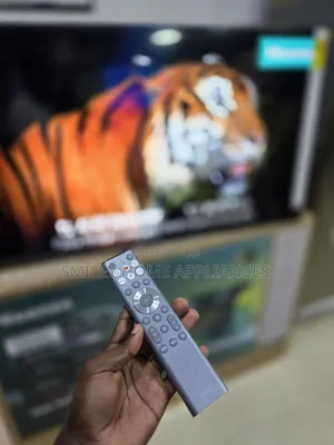 Hisense 55inches Mini-Uled4k Vidaa Quantum Dot Display Smart Ai-Tv