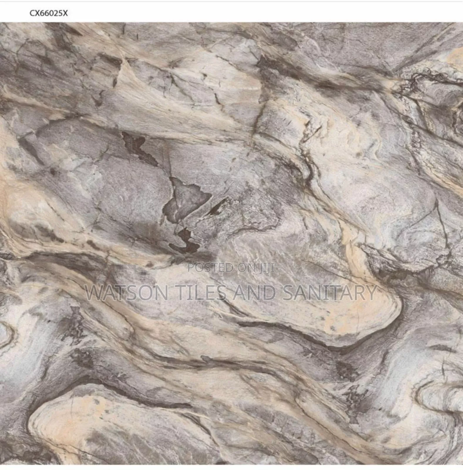 Floor Tiles, Wall Tiles, And Skirtings
