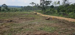 Hot PLPTS on Quick Sale - Namayumba