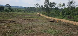 Hot PLPTS on Quick Sale - Namayumba