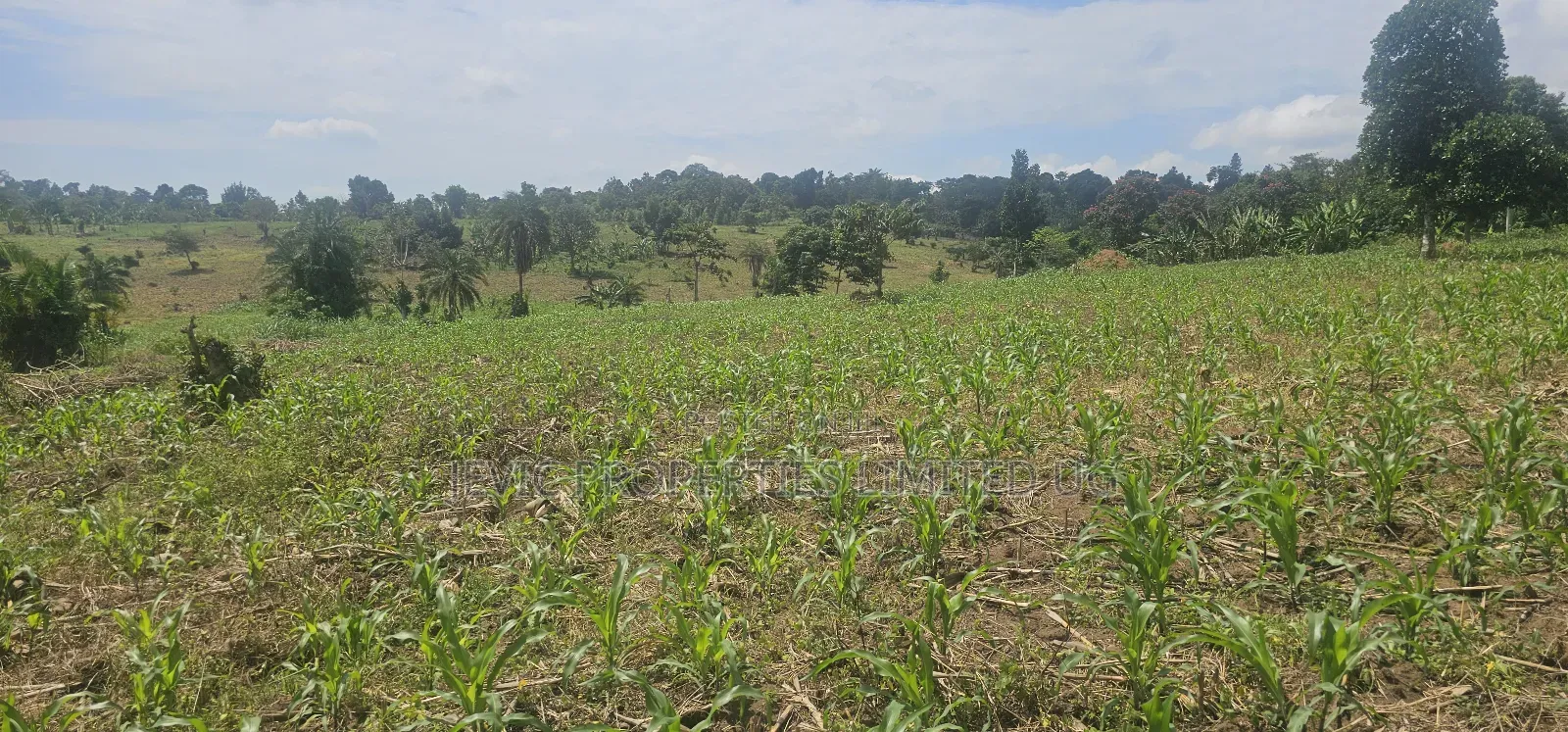 20 Acres on Flash Sale at Kanyanda -Semuto Road