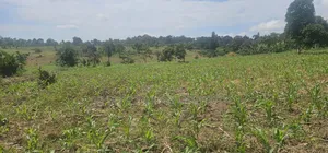 20 Acres on Flash Sale at Kanyanda -Semuto Road