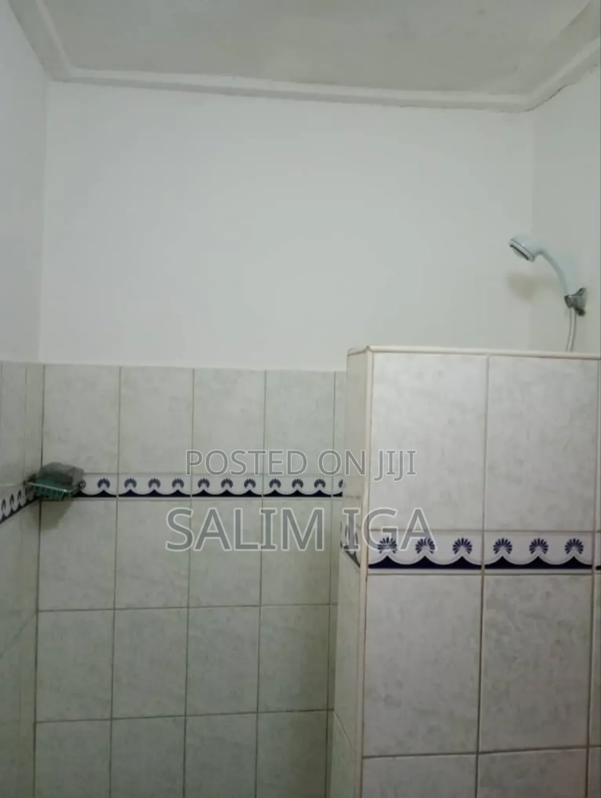 Furnished Studio Apartment in Kololo Property, Central Division