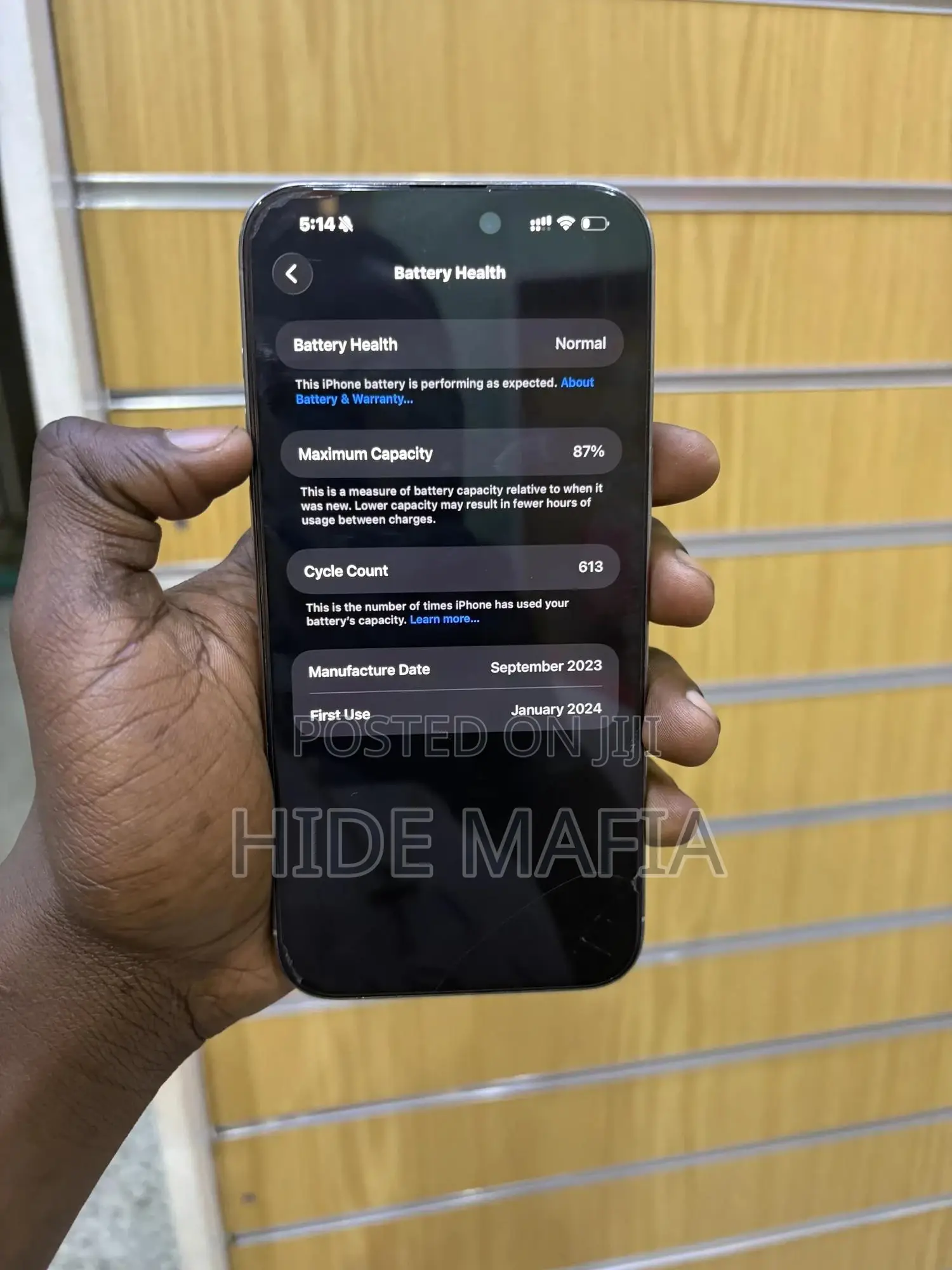 Apple iPhone 15 Pro Max 1 TB Gray