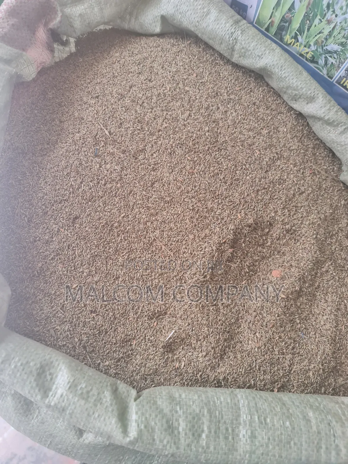 Pasture Seeds Panicum Maximum ( Mukonzi Konzi) 1kg