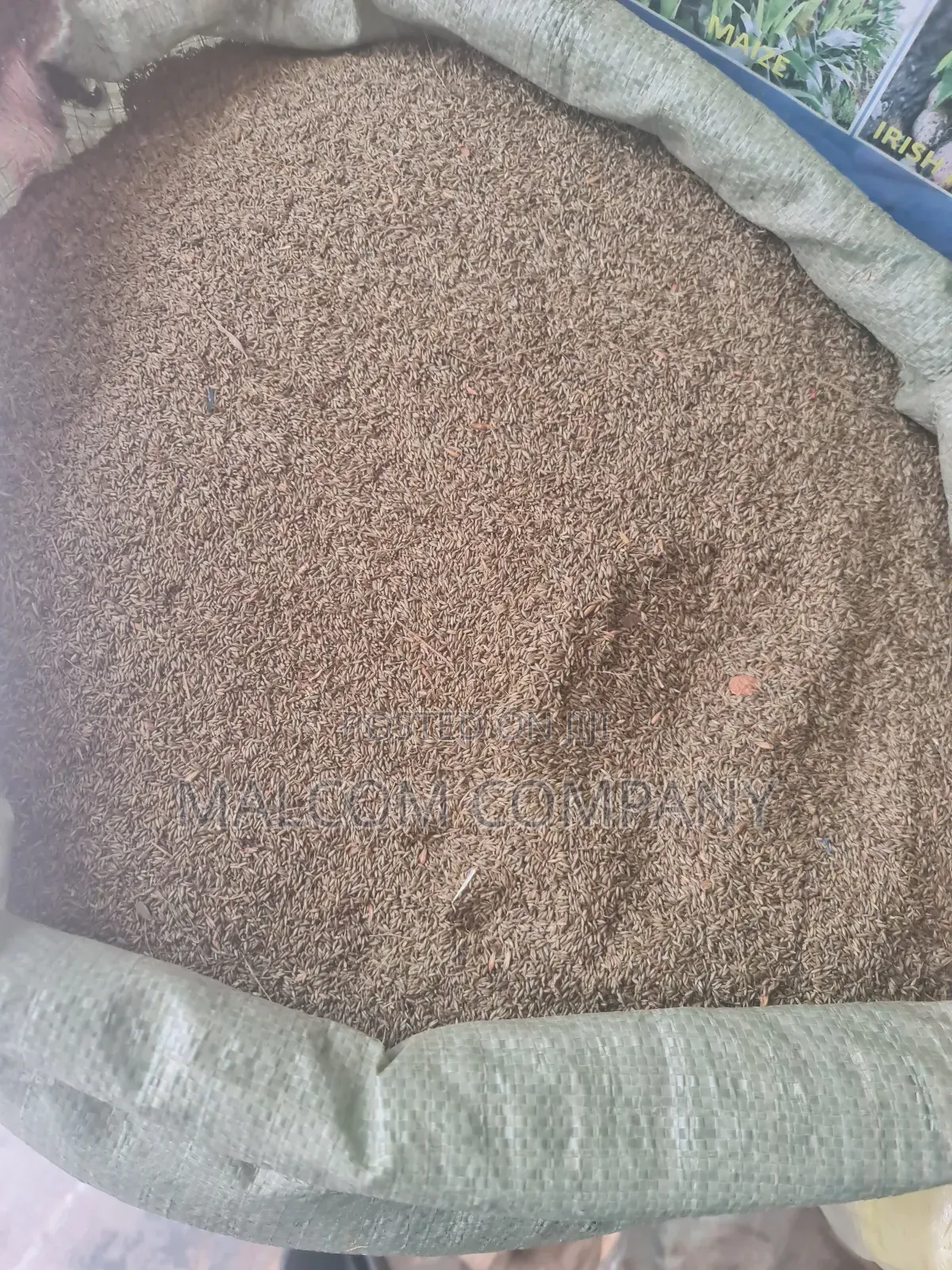 Pasture Seeds Panicum Maximum ( Mukonzi Konzi) 1kg