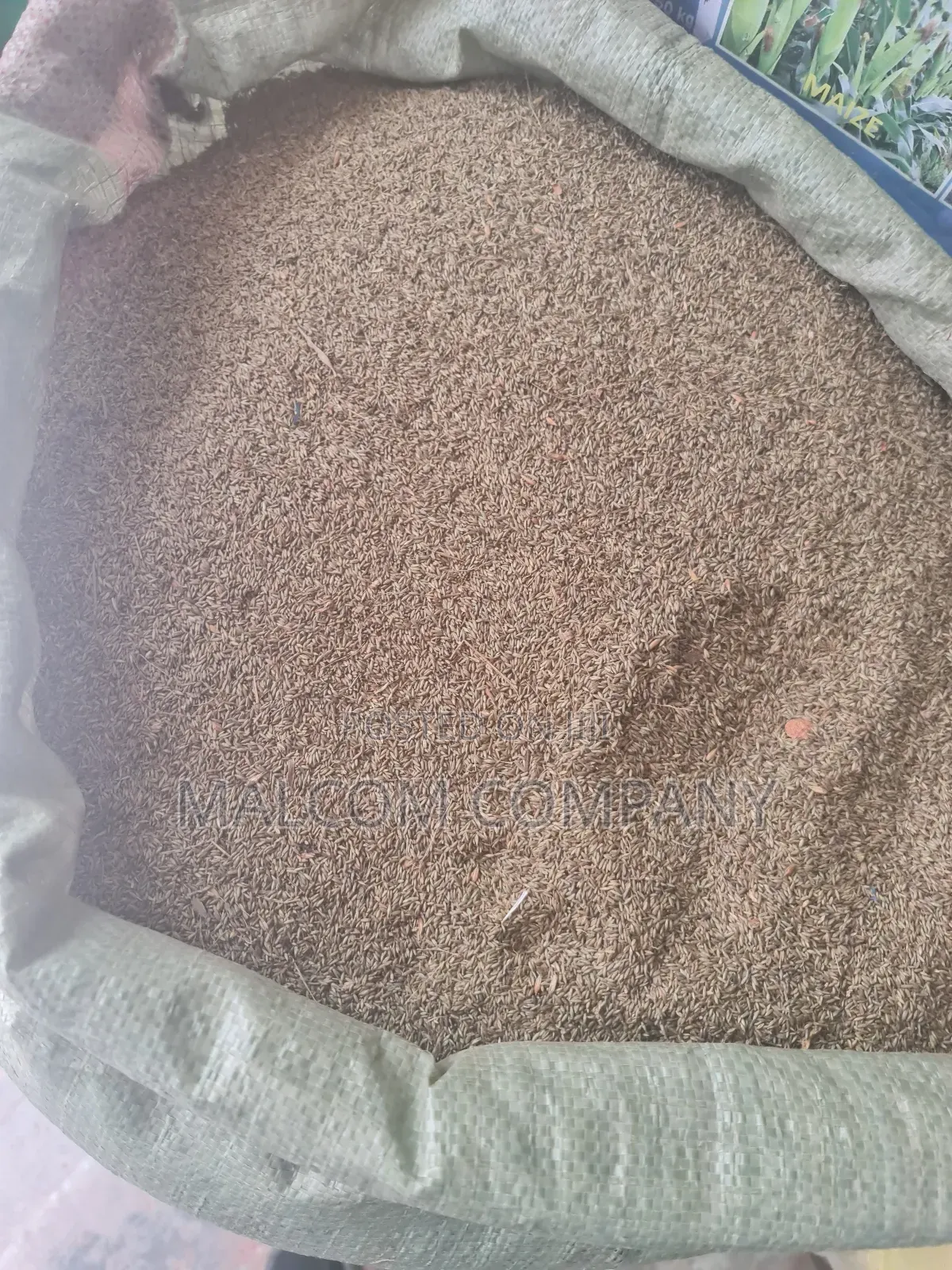 Pasture Seeds Panicum Maximum ( Mukonzi Konzi) 1kg