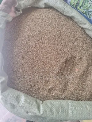 Pasture Seeds Panicum Maximum ( Mukonzi Konzi) 1kg