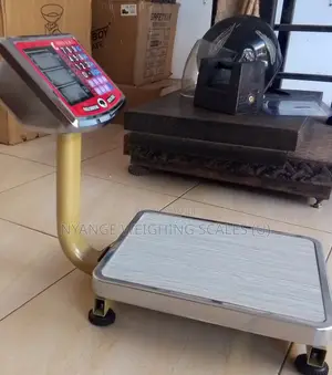Weighing Scale 80kg Weigh Electric Mini Platform Weighing Scale