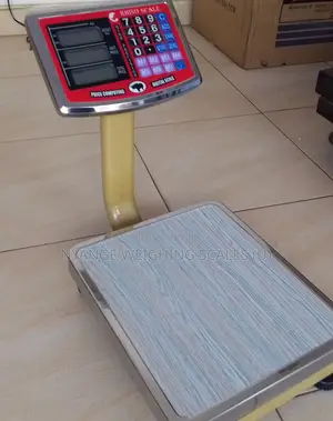 High Quality Weigh Stainless Steel Weighing Scale 60-80kg Weigh Scale