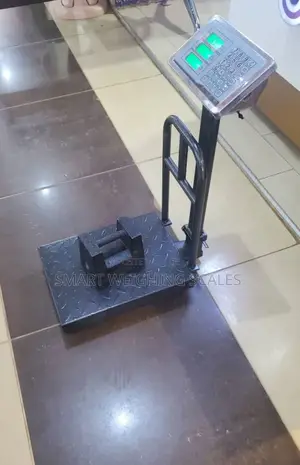 Multifunctional Food Weighing Scale 100kg Weigh Digital Weighing Scale