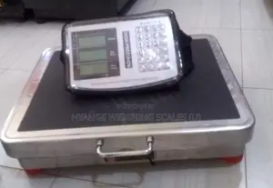 Professional Industrial Weighing Scale 400kg Weigh Digital Weigh Scal