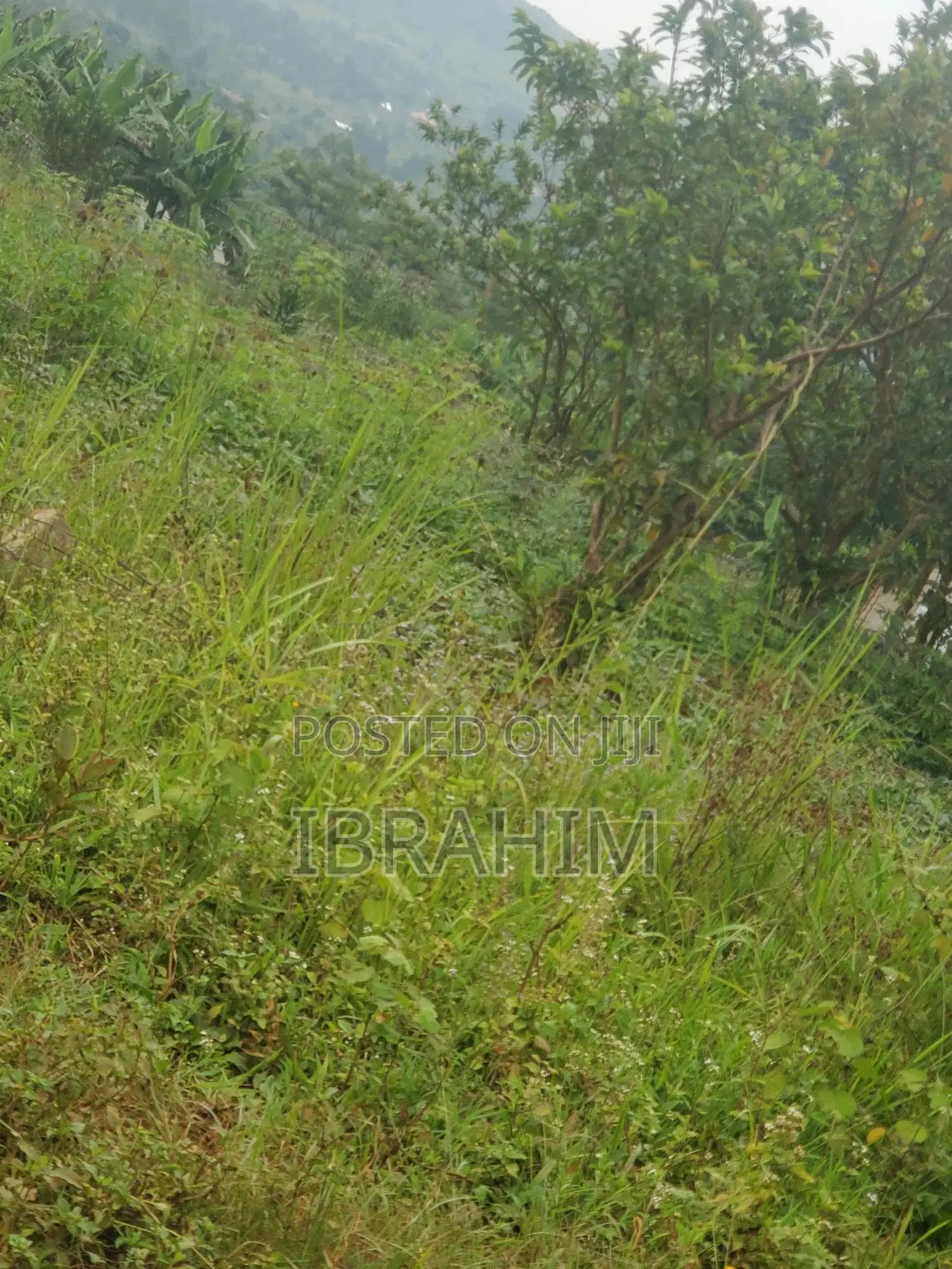 Plot For Sale With Land Titles