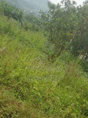 Plot For Sale With Land Titles
