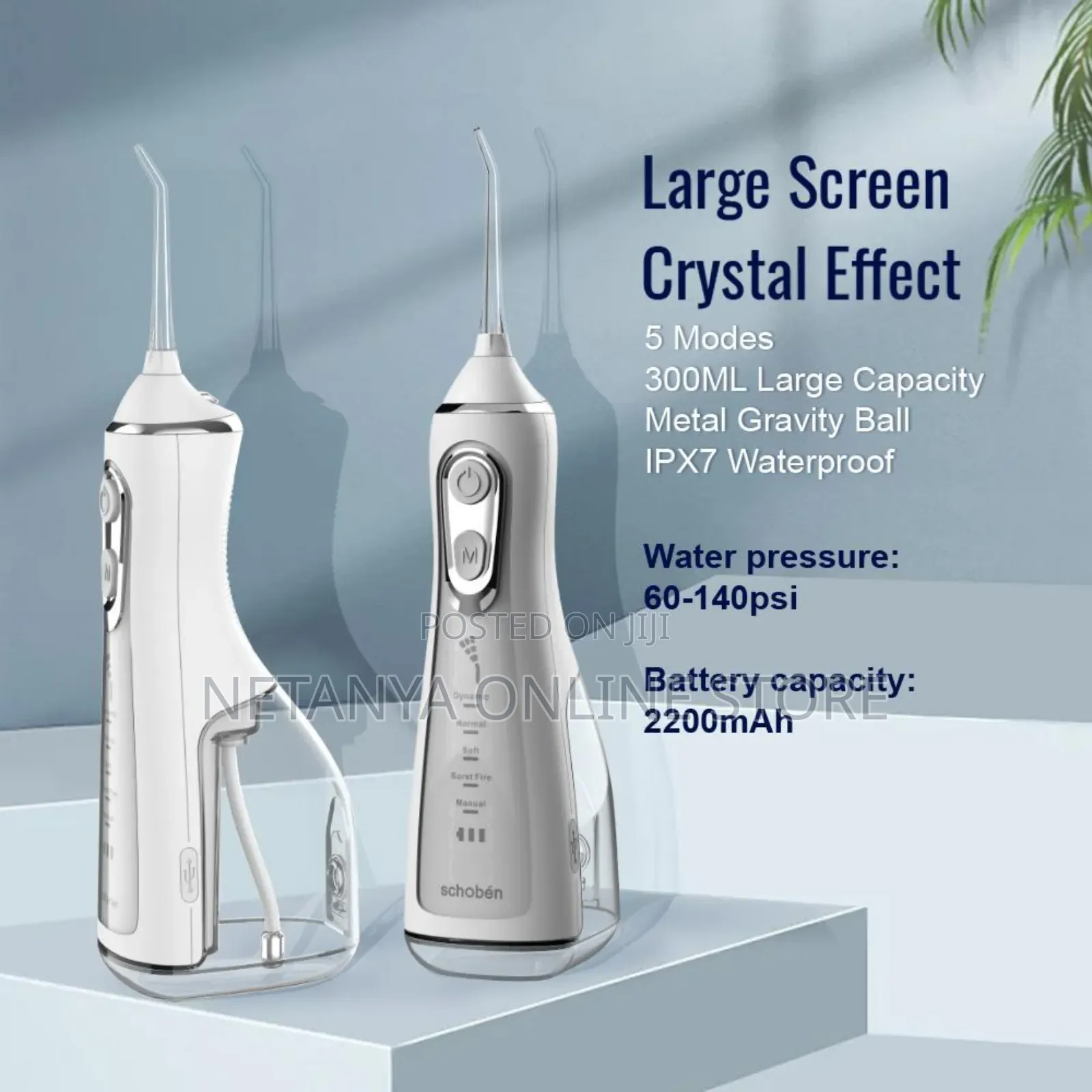 Oral Irrigator Dental Water Flosser