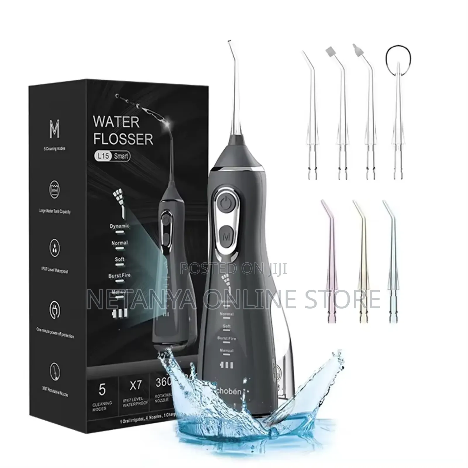 Electric Dental Flosser