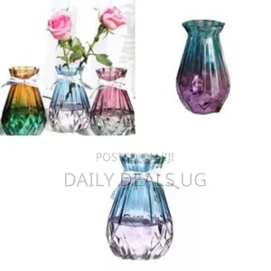 Transparent Glass Flower Vase Living Dining Room Decoration