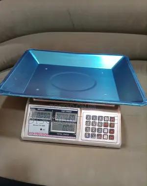 Led Double Display Weighing Scale 60kg Weigh Digital Weighing Scale
