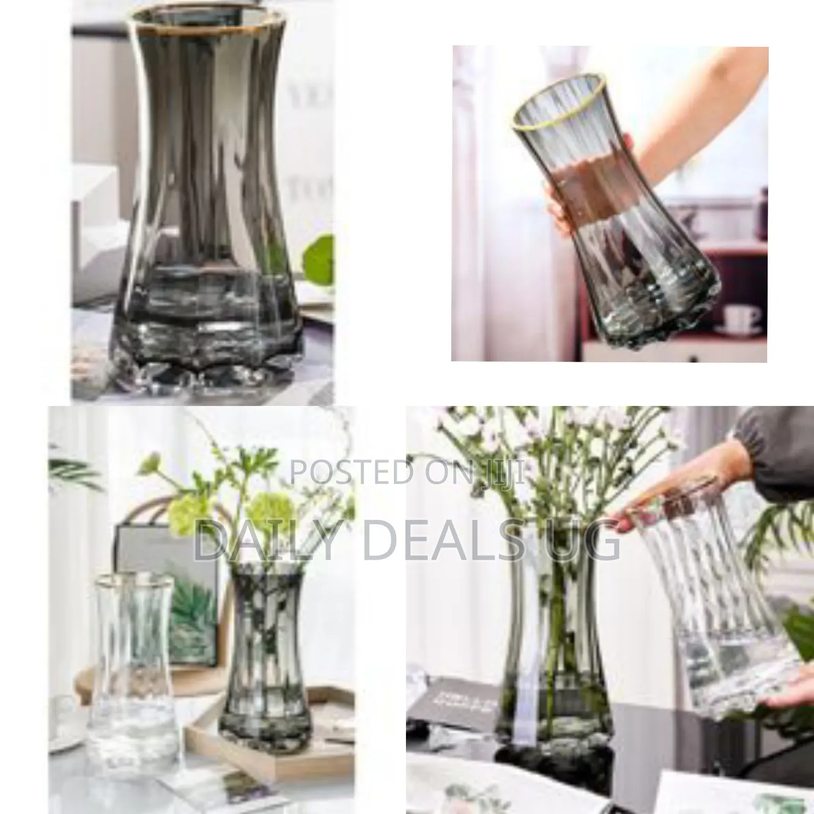 Golden Edge Hydroponic Vase for Living Room Decorations Transparent