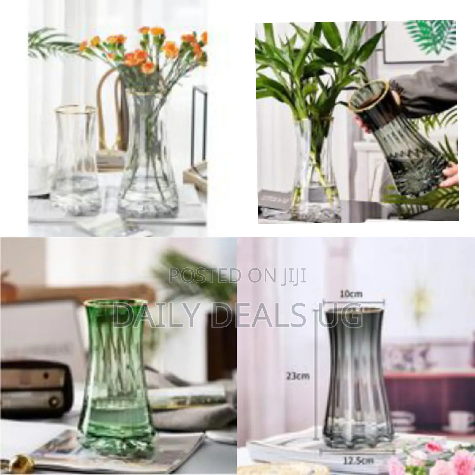Golden Edge Hydroponic Vase for Living Room Decorations Transparent