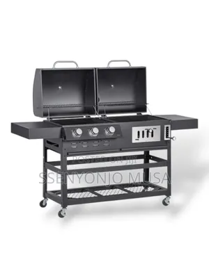 Hollow 2-in-1 Charcoal and Gas BBQ Grill Combo - Barbecue -