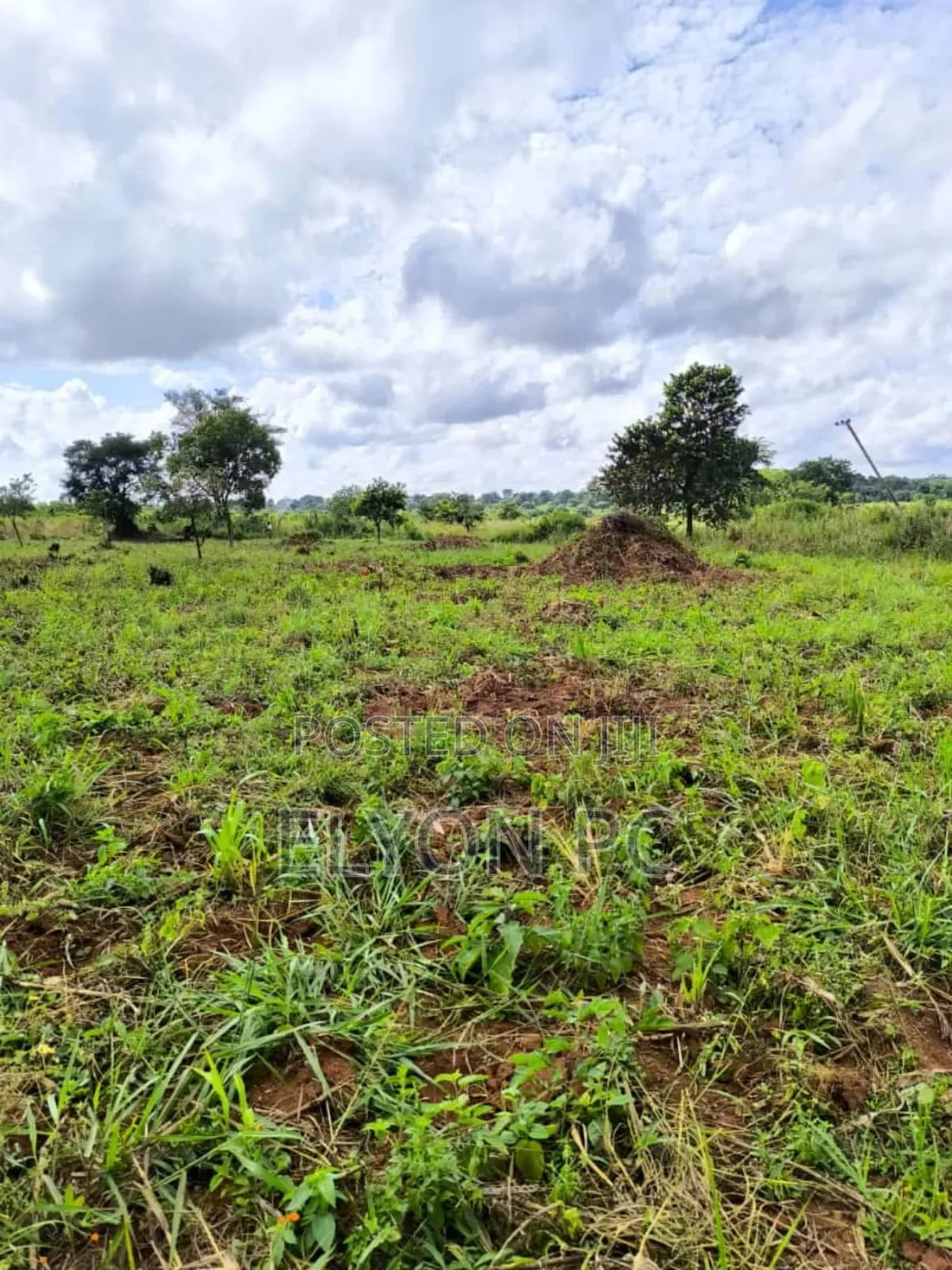 3,600 Acres in Abim District With Freehold Per Acre.