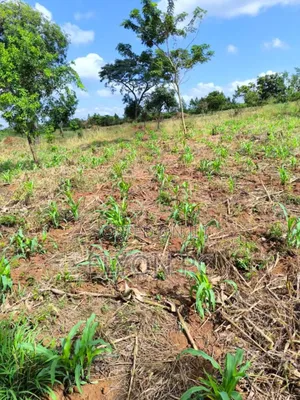 3,600 Acres in Abim District With Freehold Per Acre.