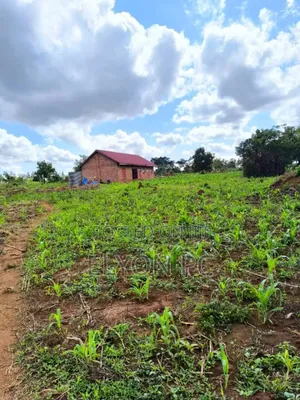 15 Acres Bujukko at 60m Each