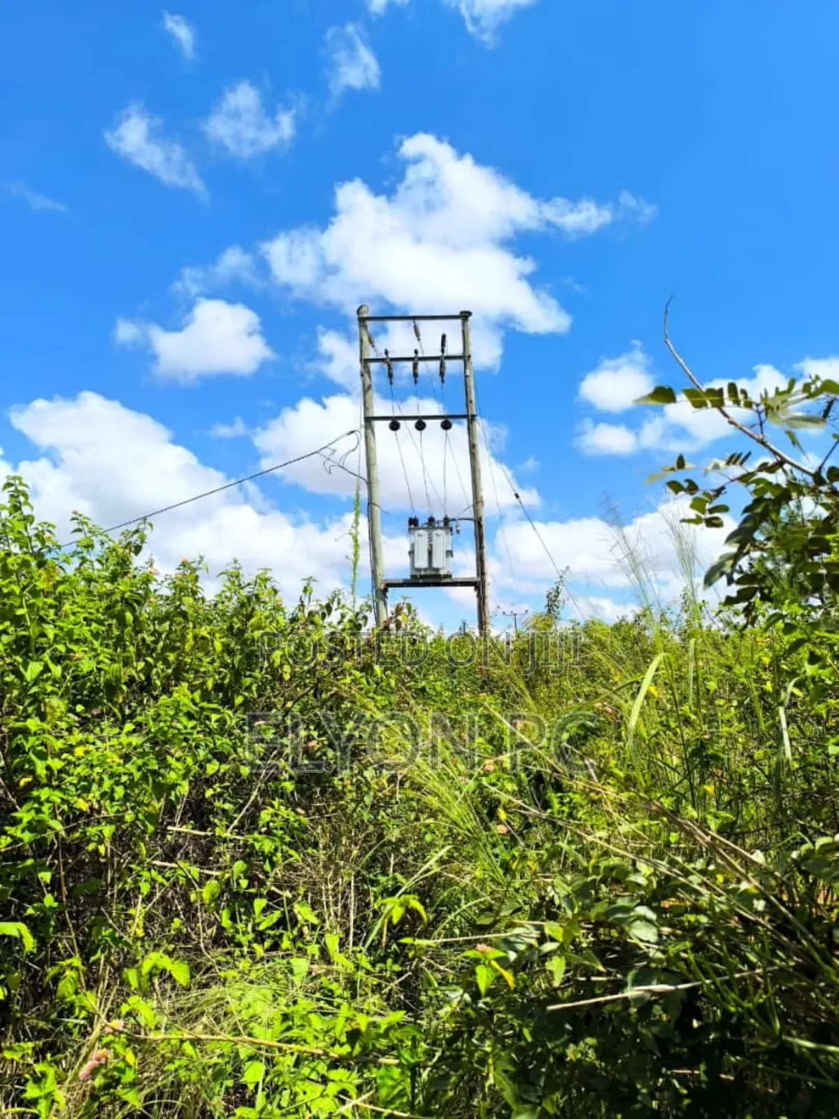 15 Acres Bujukko at 60m Each