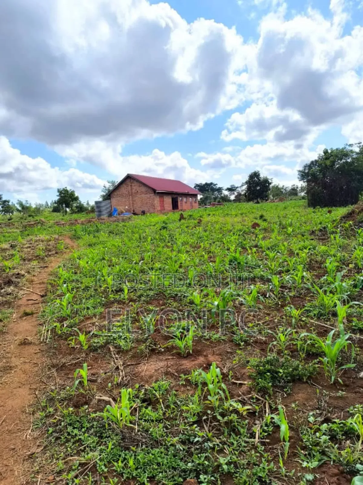 15 Acres Bujukko at 60m Each
