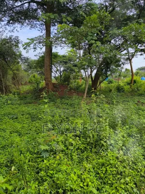 15 Acres Bujukko at 60m Each