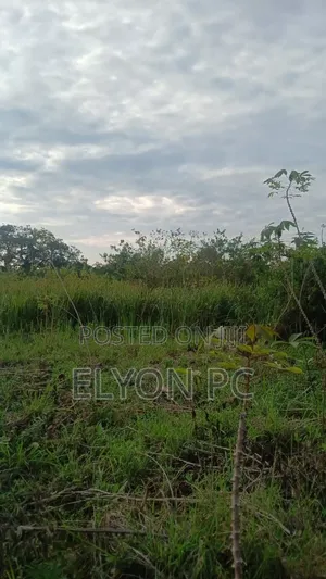120 Acres at Kikyusa - Luwero Each at 7m