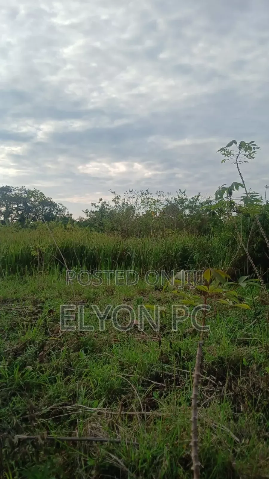 120 Acres at Kikyusa - Luwero Each at 7m