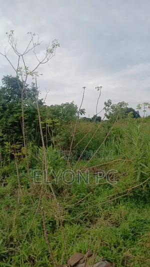 120 Acres at Kikyusa - Luwero Each at 7m