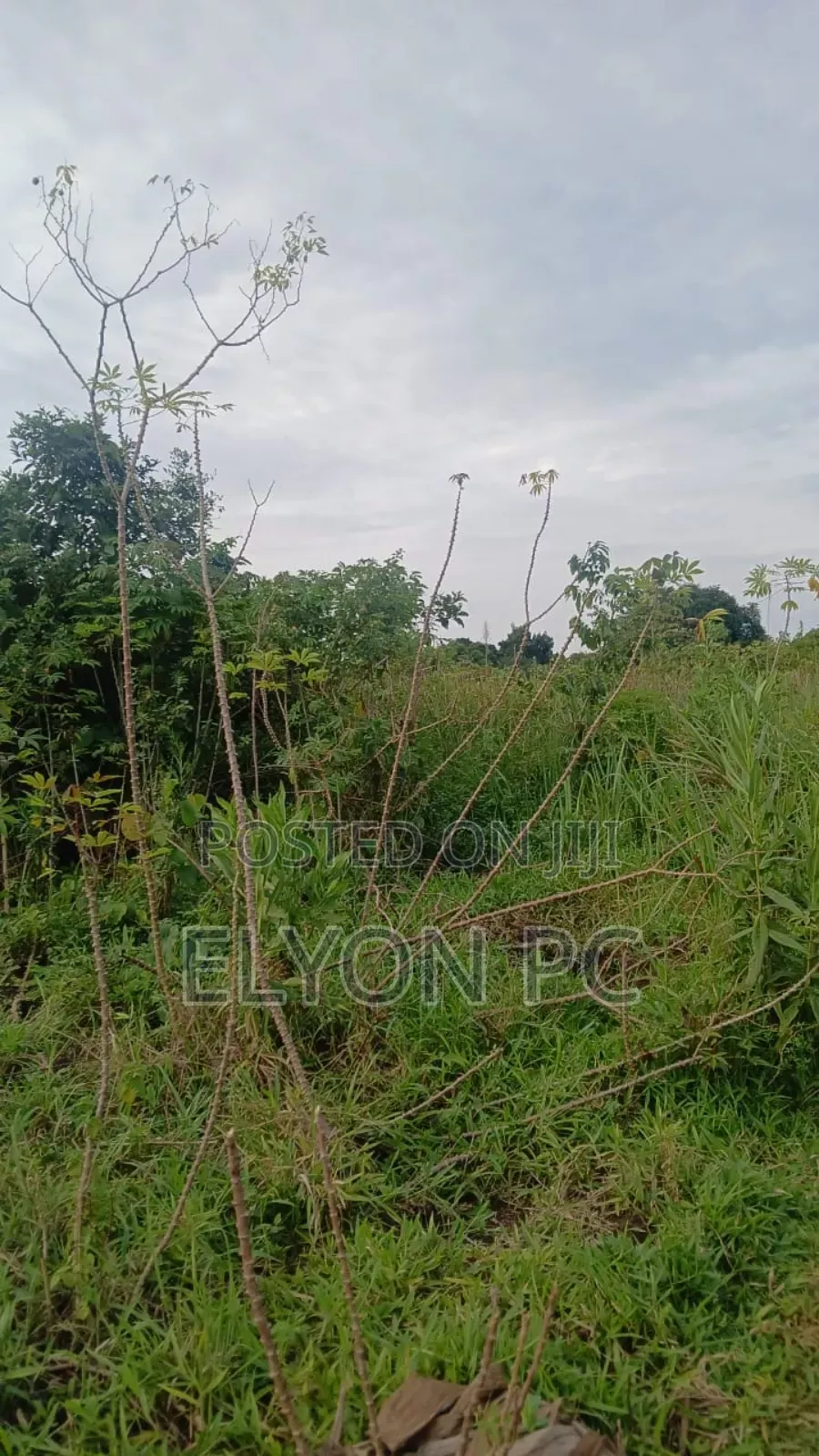 120 Acres at Kikyusa - Luwero Each at 7m