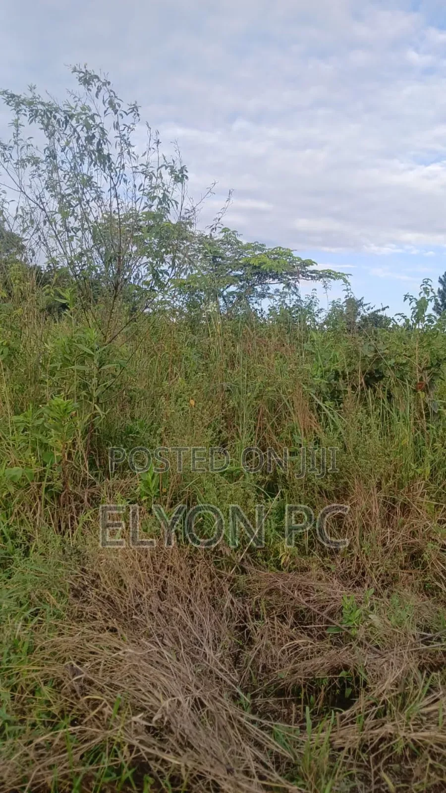 120 Acres at Kikyusa - Luwero Each at 7m