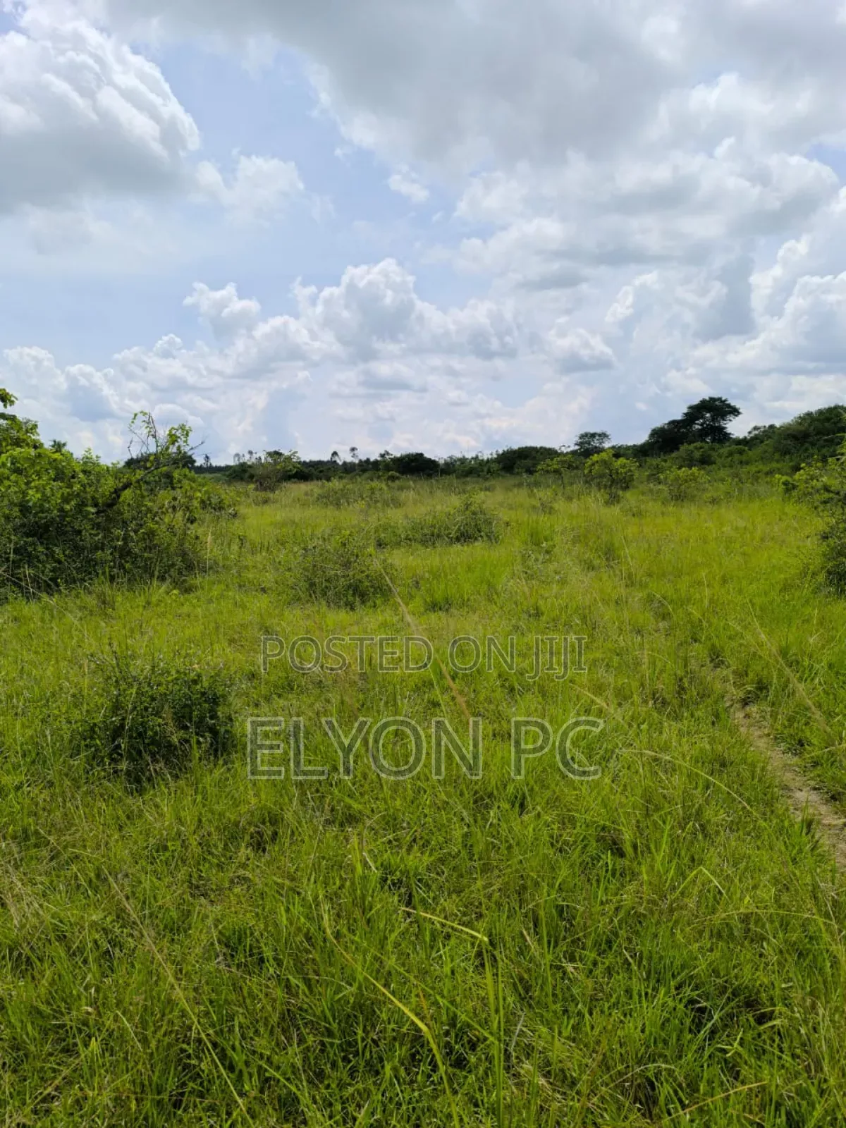 440 Acres in Tororo at 20m Per Acre.