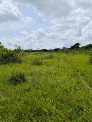 440 Acres in Tororo at 20m Per Acre.