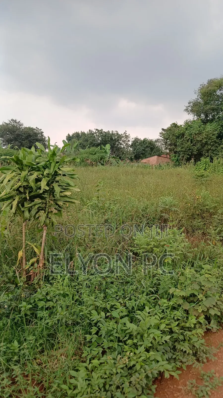 5 Acres in Mpingi at 50m Each