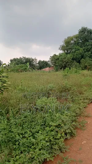 5 Acres in Mpingi at 50m Each